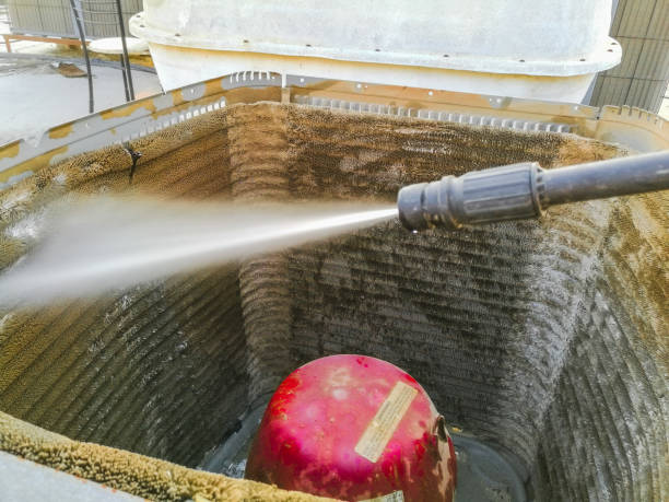 Best Air Duct Mold Removal  in Hollidaysburg, PA
