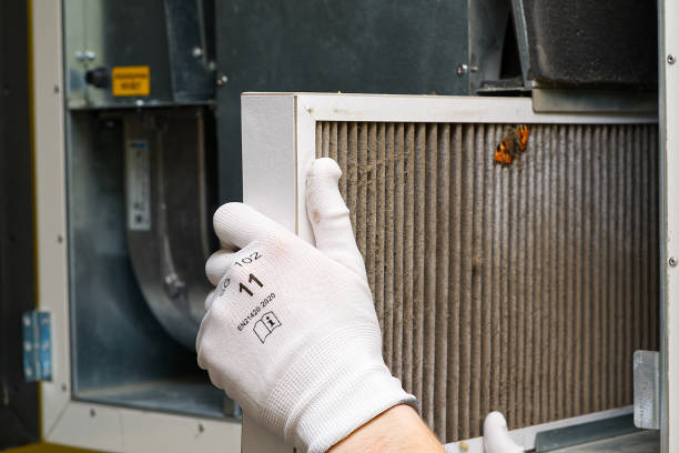 Best HVAC Air Duct Cleaning  in Hollidaysburg, PA